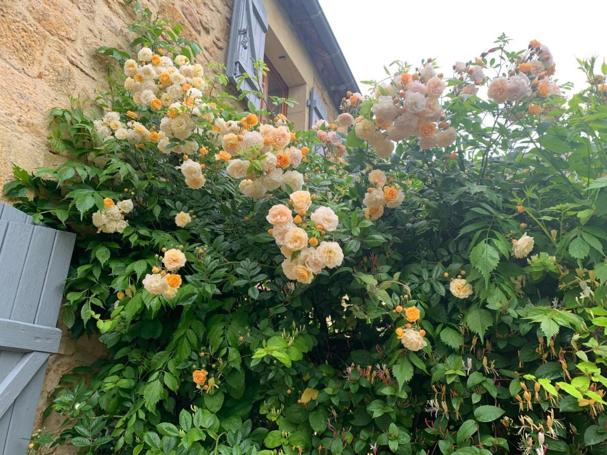 La Riviere Esperance Villa Veyrignac Bagian luar foto