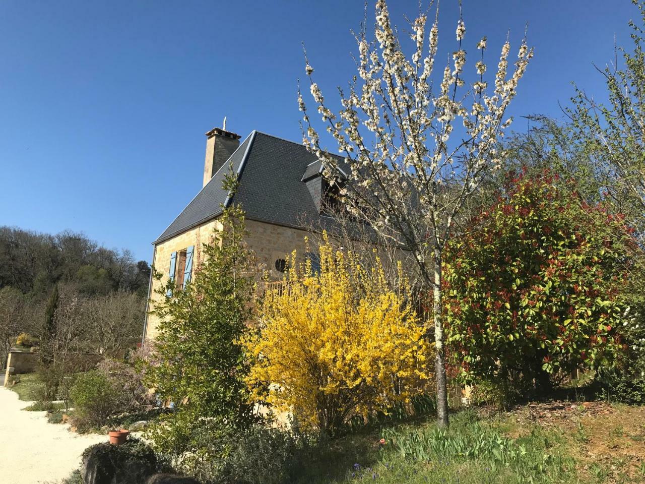 La Riviere Esperance Villa Veyrignac Bagian luar foto